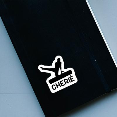 Cherie Sticker Gymnast Gift package Image