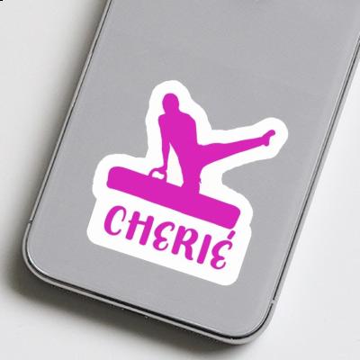 Sticker Gymnast Cherie Gift package Image