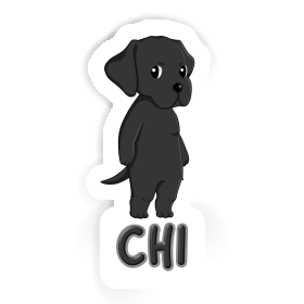 Labrador Sticker Chi Image