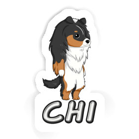 Sticker Shetland Sheepdog Chi Image