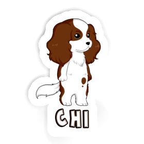 Chi Sticker Cavalier King Charles Spaniel Image