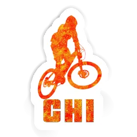 Downhiller Sticker Chi Image