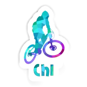 Sticker Downhiller Chi Image