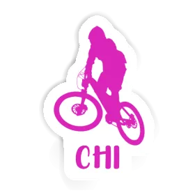 Downhiller Sticker Chi Image