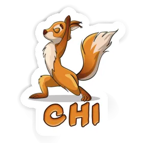 Sticker Yoga-Eichhörnchen Chi Image