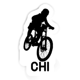 Sticker Chi Freeride Biker Image