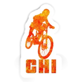 Sticker Freeride Biker Chi Image