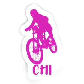 Chi Aufkleber Freeride Biker Image