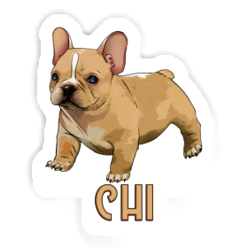 Autocollant Bouledogue Chi Image