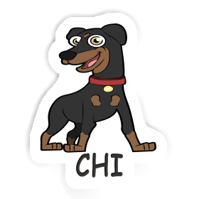 Sticker German Pinscher Chi Image