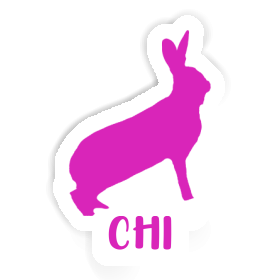 Chi Autocollant Lapin Image