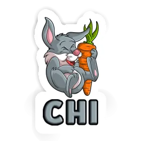 Autocollant Chi Lapin Image