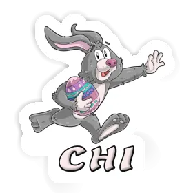 Chi Sticker Rugby rabbit Image