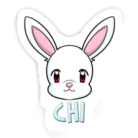 Chi Autocollant Lapin Image