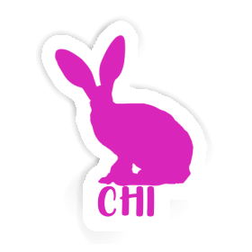 Chi Autocollant Lapin Image