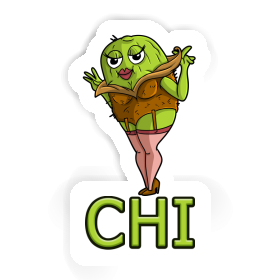 Autocollant Kiwi Chi Image