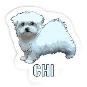 Maltese Sticker Chi Image