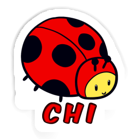 Autocollant Chi Coccinelle Image