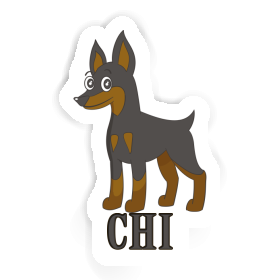 Sticker Pinscher Chi Image