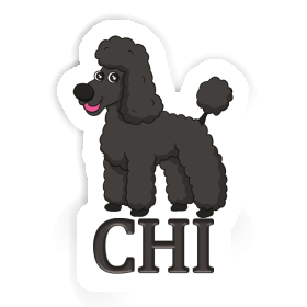 Chi Autocollant Caniche Image