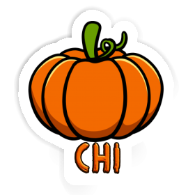 Chi Sticker Pumpkin Image