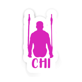 Chi Sticker Ringturnerin Image