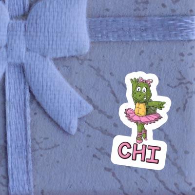 Autocollant Chi Tortue Gift package Image