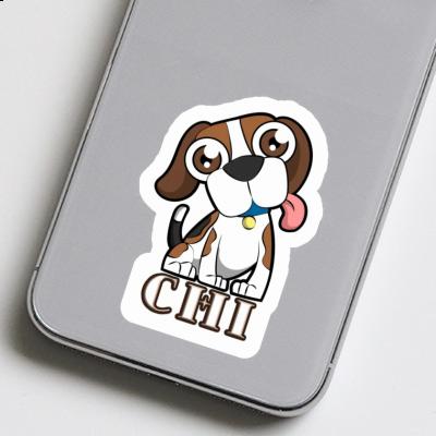 Autocollant Chi Beagle Gift package Image