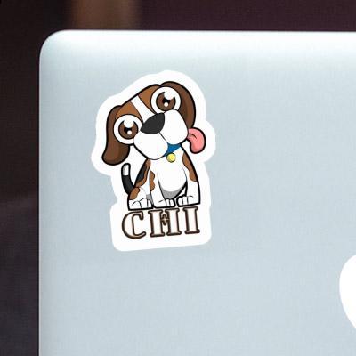 Sticker Beagle Chi Image