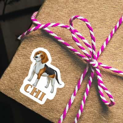 Autocollant Beagle Chi Gift package Image