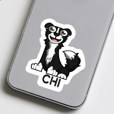 Sticker Chi Border Collie Gift package Image