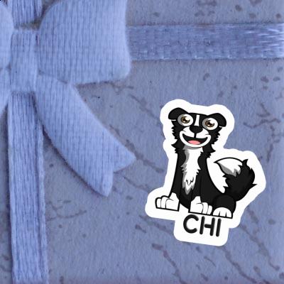 Sticker Chi Border Collie Image