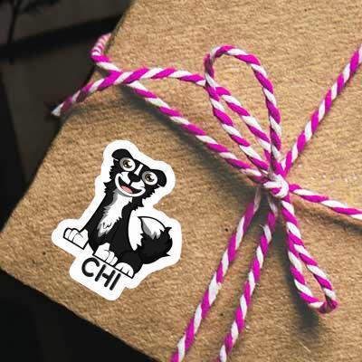 Aufkleber Chi Collie Gift package Image