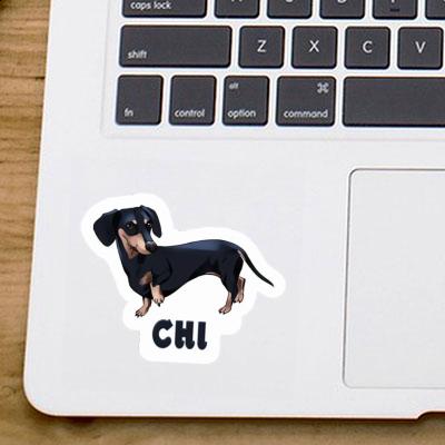 Dachshund Sticker Chi Laptop Image