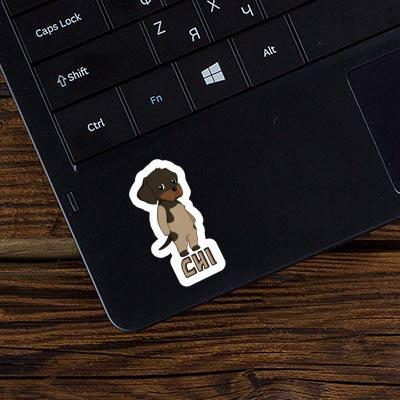 German Wirehaired Pointer Sticker Chi Laptop Image