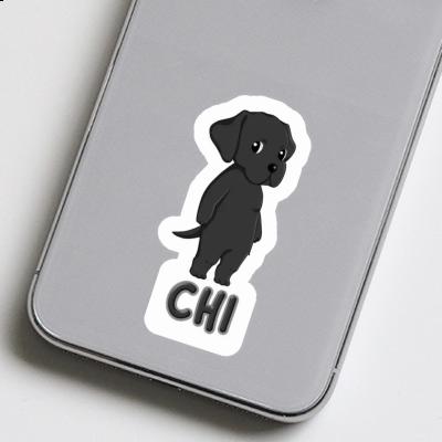 Autocollant Chi Labrador Retriever Gift package Image