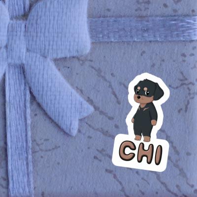 Sticker Chi Rottweiler Gift package Image