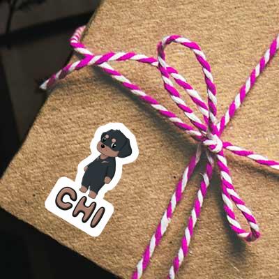 Sticker Rottweiler Chi Notebook Image