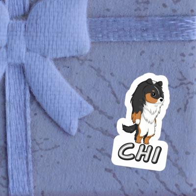 Sticker Shetland Sheepdog Chi Gift package Image