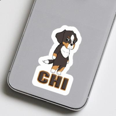 Chi Aufkleber Berner Sennenhund Gift package Image