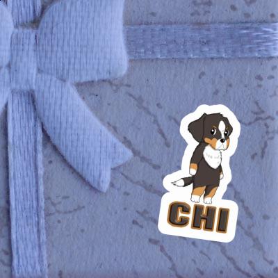 Sticker Bernese Mountain Dog Chi Gift package Image