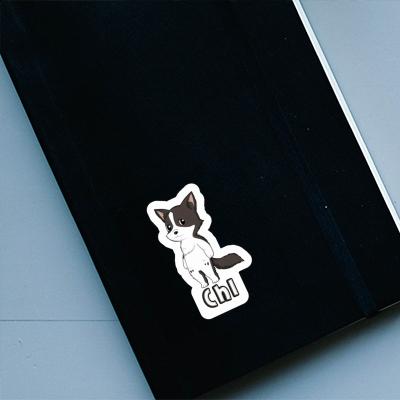 Autocollant Chi Collie border Gift package Image