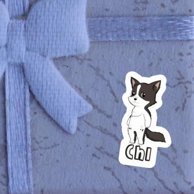 Autocollant Chi Collie border Image