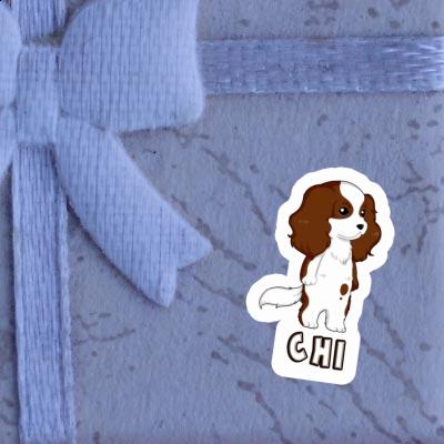 Sticker Chi Cavalier King Charles Spaniel Laptop Image