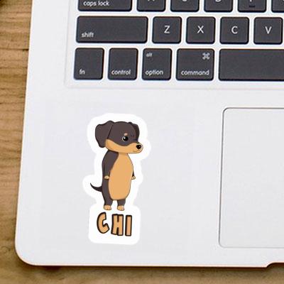 Sticker Dachshund Chi Gift package Image