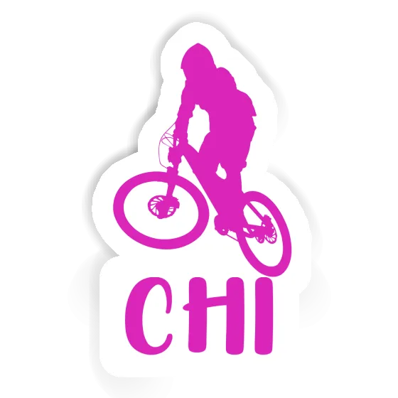 Downhiller Sticker Chi Gift package Image