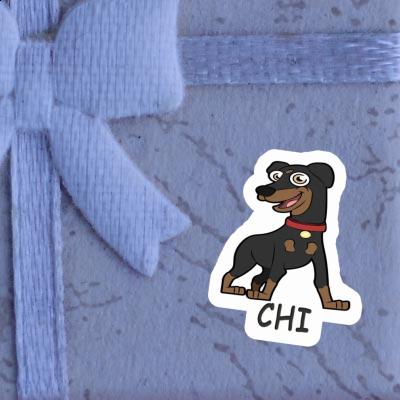 Pinscher Autocollant Chi Gift package Image