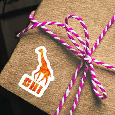 Autocollant Girafe Chi Gift package Image