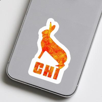 Autocollant Chi Lapin Gift package Image