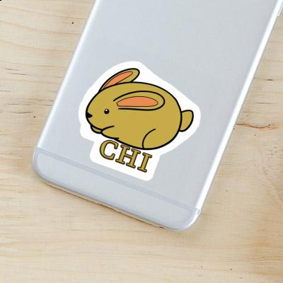 Chi Sticker Rabbit Image